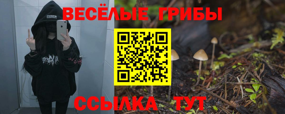 Ейск  Галлюциногенные грибы Psilocybine cubensis  Вход с VPN 